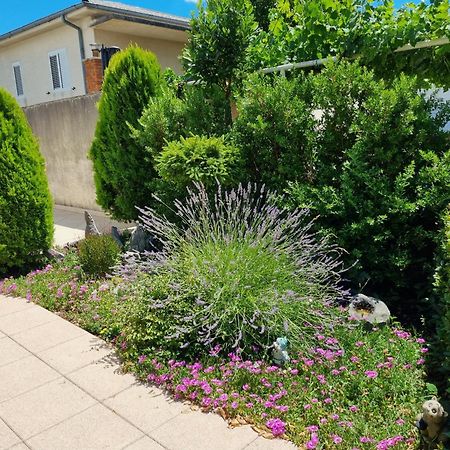 Apartment Nina نوفي فينودولسكي المظهر الخارجي الصورة