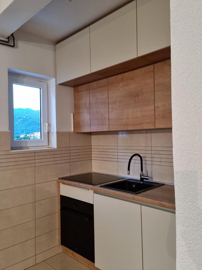Apartment Nina نوفي فينودولسكي المظهر الخارجي الصورة