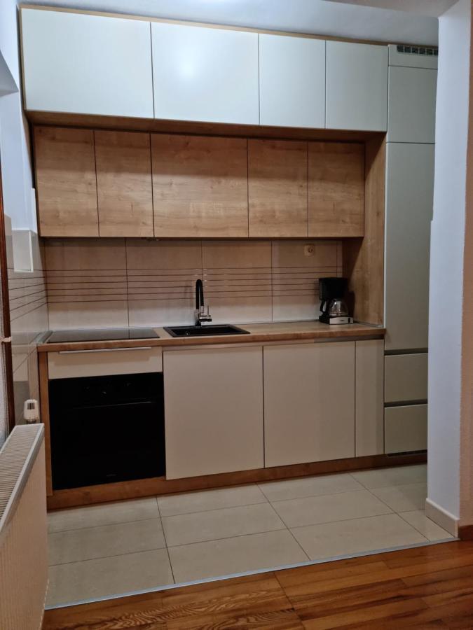 Apartment Nina نوفي فينودولسكي المظهر الخارجي الصورة