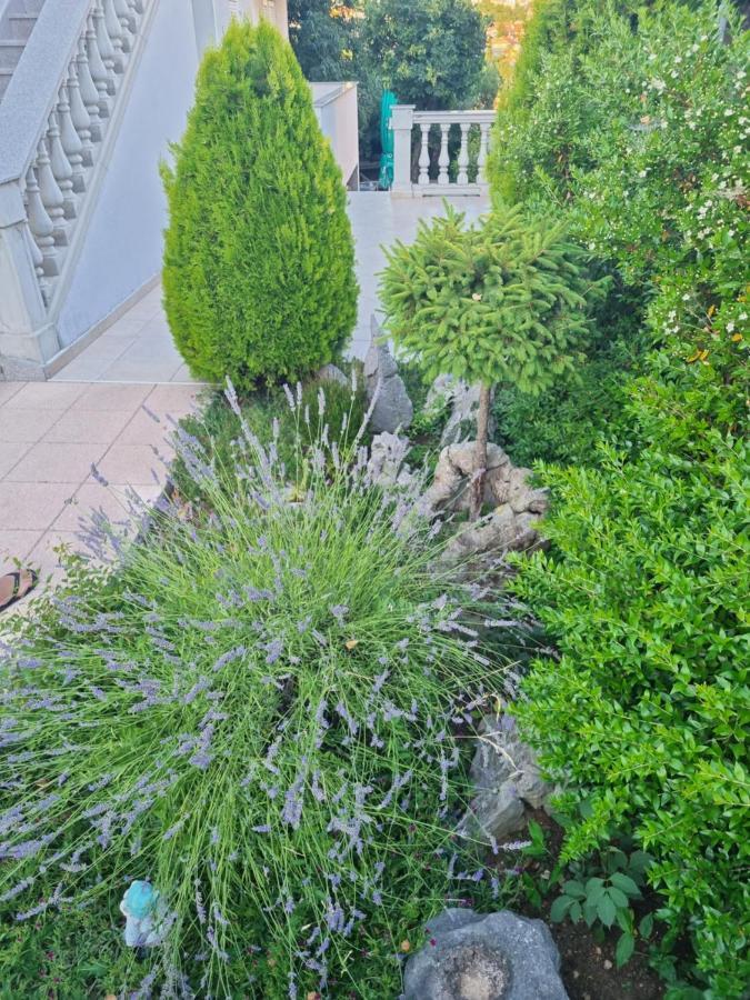 Apartment Nina نوفي فينودولسكي المظهر الخارجي الصورة