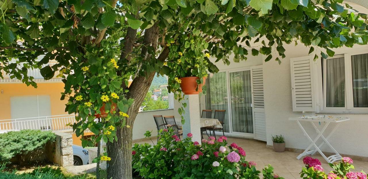 Apartment Nina نوفي فينودولسكي المظهر الخارجي الصورة